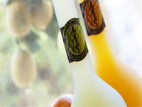 Ambra Limoncello