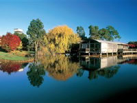 Balnaves of Coonawarra