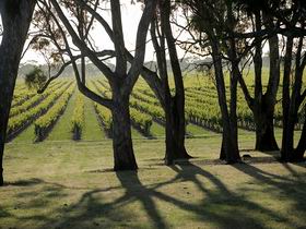 Henry's Drive Vignerons - Attractions Melbourne 0