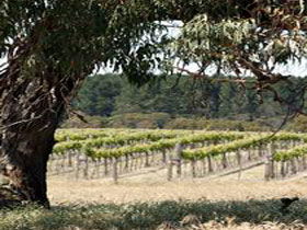 Wangolina Station - Attractions Melbourne 3