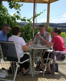 Zig Zag Rd Winery - Attractions Melbourne 2