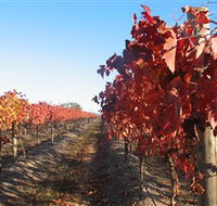 Kooyonga Creek Wines - Attractions Melbourne