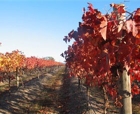 Kooyonga Creek Wines - Attractions Melbourne 0