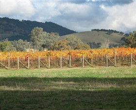 Kooyonga Creek Wines - Attractions Melbourne 4
