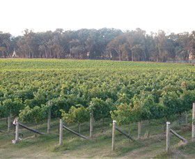 Kooyonga Creek Wines - Attractions Melbourne 6