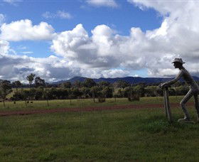 Kooyonga Creek Wines - Attractions Melbourne 3