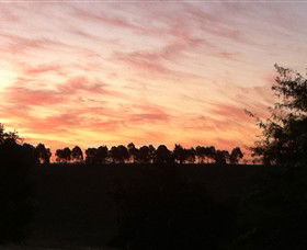 Kooyonga Creek Wines - Attractions Melbourne 2