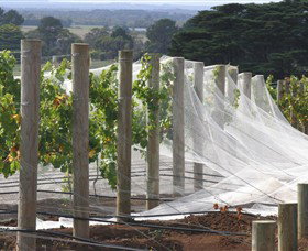 Paradigm Hill - Attractions Melbourne 1