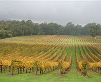 Boat O'Craigo Wines