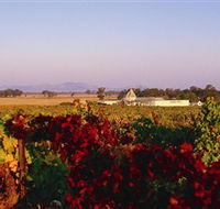 Morris Wines - Attractions Melbourne