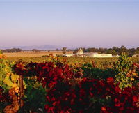 Morris Wines