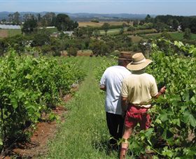 Sir Paz Estate - Attractions Melbourne 0