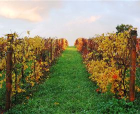 Sir Paz Estate - Attractions Melbourne 2