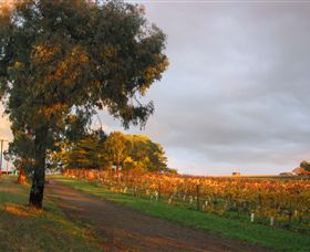 Sir Paz Estate - Attractions Melbourne 3