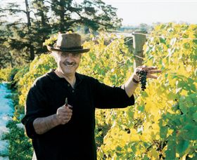 Sir Paz Estate - Attractions Melbourne 1