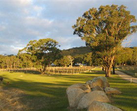 Cobaw Ridge - Attractions Melbourne 3