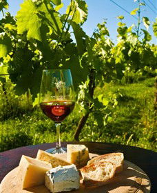King River Estate - Attractions Melbourne 3