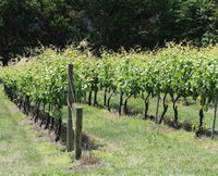 Book Ovens Accommodation Vacations Attractions Melbourne Attractions Melbourne