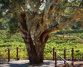 Upper Reach Winery And Cellar Door - Attractions Melbourne 1