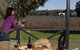 Upper Reach Winery And Cellar Door - thumb 2