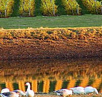 Pipers Brook Vineyard - Attractions Melbourne