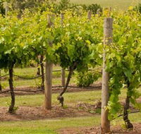Mt Coghill Vineyard - Attractions Melbourne