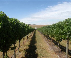 Cannibal Creek Vineyard - Attractions Melbourne 1