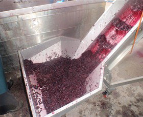 Cannibal Creek Vineyard - Attractions Melbourne 6