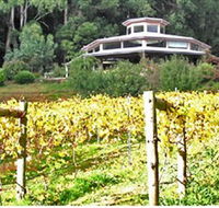 Peveril Vineyard/Beechy Berries - Attractions Melbourne