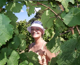 Harcourt Valley Vineyards - Attractions Melbourne 5