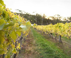 Harcourt Valley Vineyards - Attractions Melbourne 0