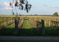 Book Bridgewater On Loddon Accommodation Vacations Attractions Melbourne Attractions Melbourne