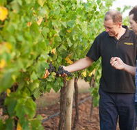 Fratin Brothers Vineyard - Attractions Melbourne