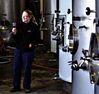 Holm Oak Vineyard - Attractions Melbourne