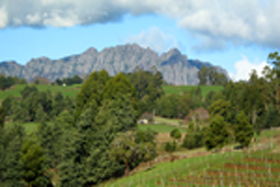 Lake Barrington Vineyard - Attractions Melbourne 0