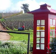 Dalrymple Vineyards - Attractions Melbourne