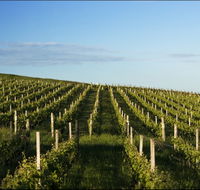 Delamere Vineyard - Attractions Melbourne
