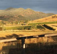 Optimiste Wines - Attractions Melbourne