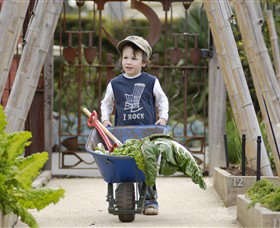Royal Botanic Gardens Victoria Melbourne