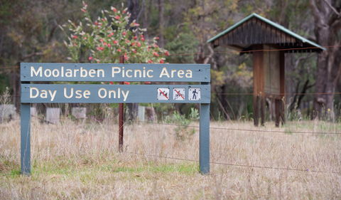 Moolarben Picnic Area - Attractions Melbourne 1