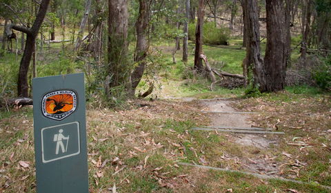 Moolarben Picnic Area - Attractions Melbourne 0