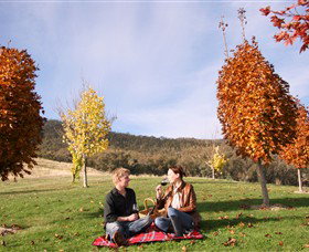 Gapsted Wines - Attractions Melbourne 5