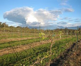 Flyfaire Wines - Attractions Melbourne 7