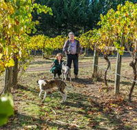 Little River Wines of Taggerty - Attractions Melbourne