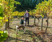Book Taggerty Accommodation Vacations Attractions Melbourne Attractions Melbourne
