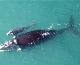 Fazshot Photography - Attractions Melbourne 0