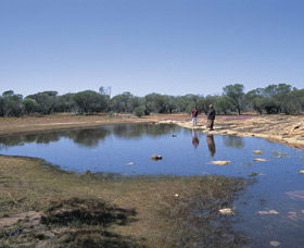 Camel Soak - Attractions Melbourne 0