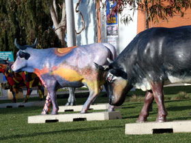 Drysdale Cheeses - Attractions Melbourne 6