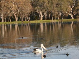 Drysdale Cheeses - Attractions Melbourne 7