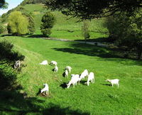 Karmic Goat Soapworks